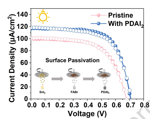 Vapor-Compatible Molecular Passivation of Thermally Evaporated Lead-Free Perovskites for Indoor Photovoltaics