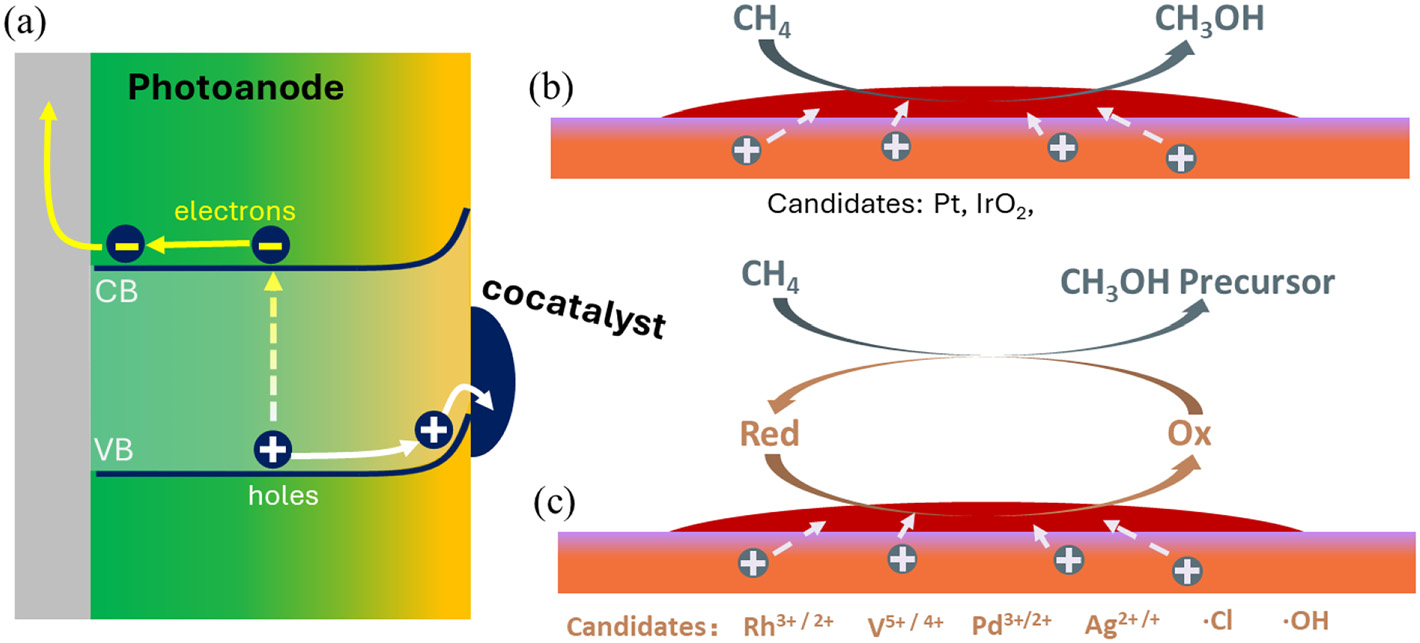 Solar-energy-driven value-added oxidation processes