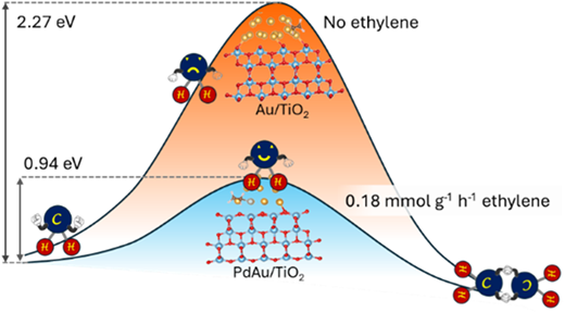 Tuning Reaction Pathway with Surface Metal Cocatalyst for Ethylene Production via Photocatalytic Methane Conversion