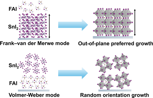 Frank-van der Merwe-Mediated Sequential Thermal Evaporation for Stable FASnI3 Perovskite Solar Cells